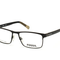 fossil1